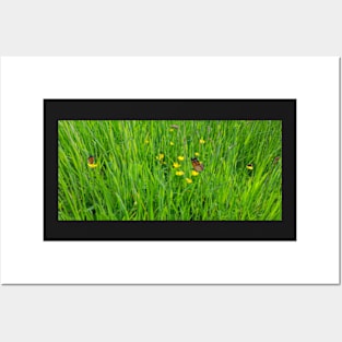 Summer Meadow Posters and Art